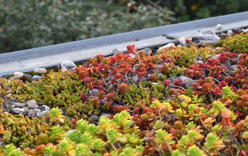 the cost of St Leonards green roof installation