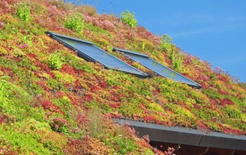 St Leonards living roof systems