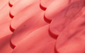 St Leonards plastic roof costs