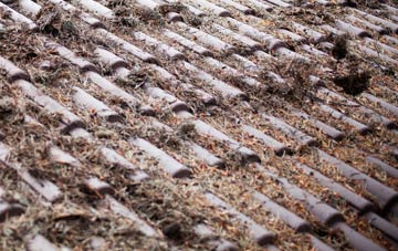 St Leonards roof cleaning companies